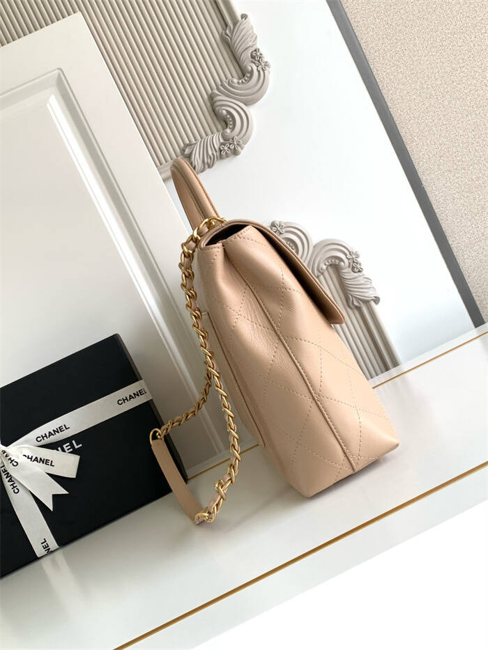 260126193_detail_2